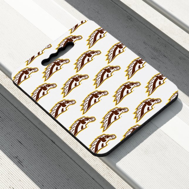 Western Michigan University | Broncos Seat Cushion (In Situ)