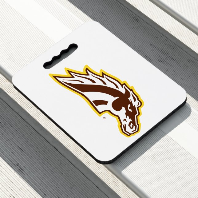 Western Michigan University | Broncos Seat Cushion (In Situ)