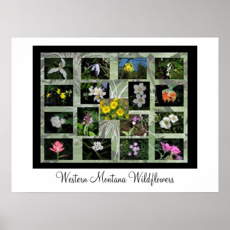 Western Montana Wildflowers Print (with Border)