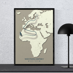 Western Osprey Migration Map – Minimalist Vintage Poster