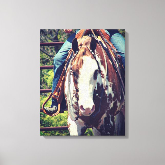 Western Paint Horse Canvas Print (Front)