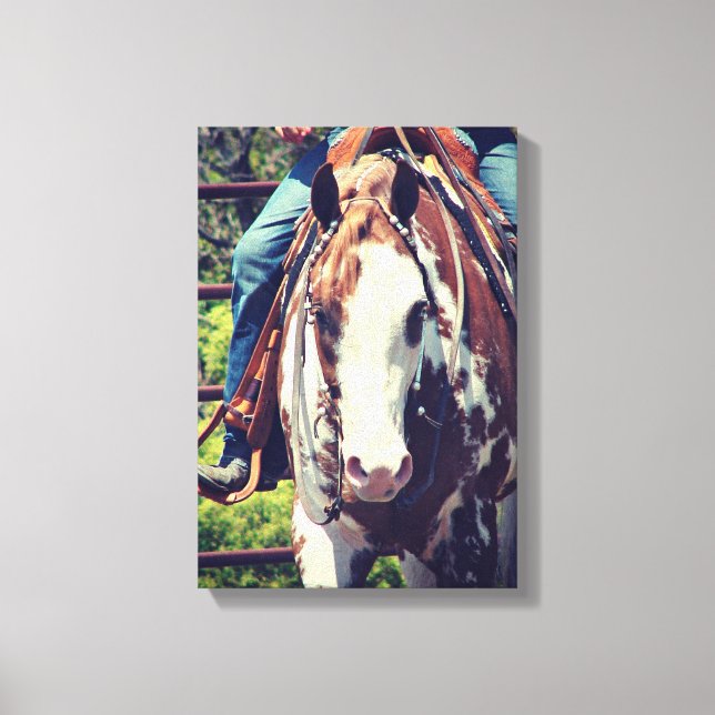Western Paint Horse Canvas Print (Front)