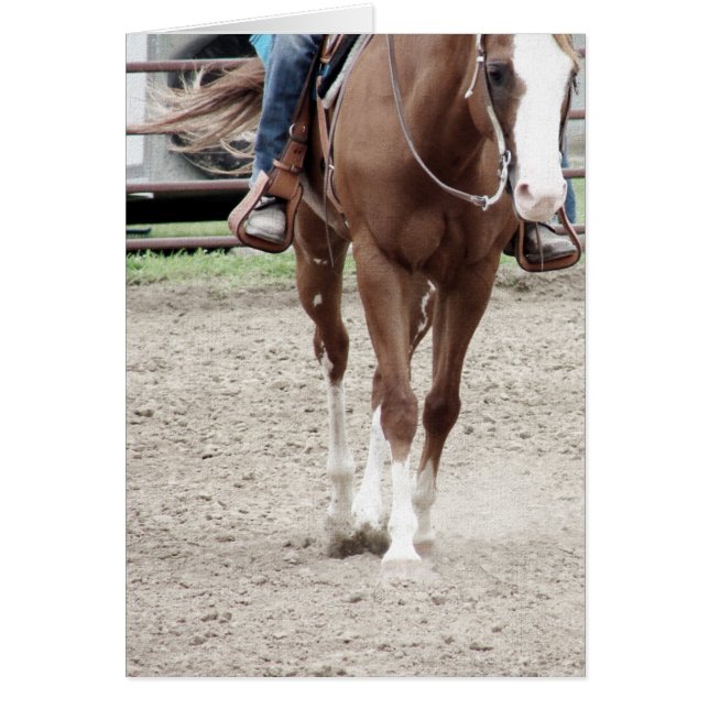 Western Paint Horse Cards (Front)