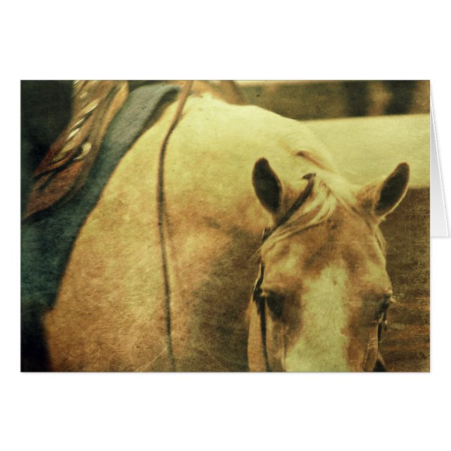 Western Palomino Cards (Front Horizontal)
