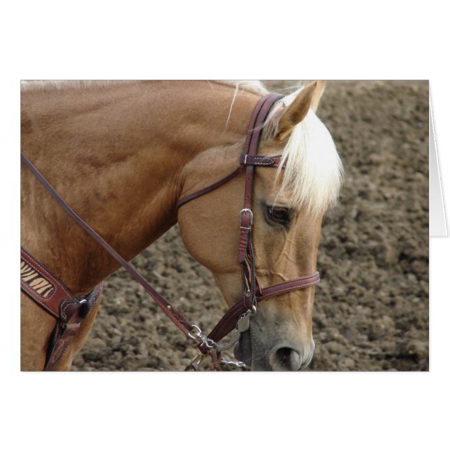 Western  Palomino Cards (Front Horizontal)