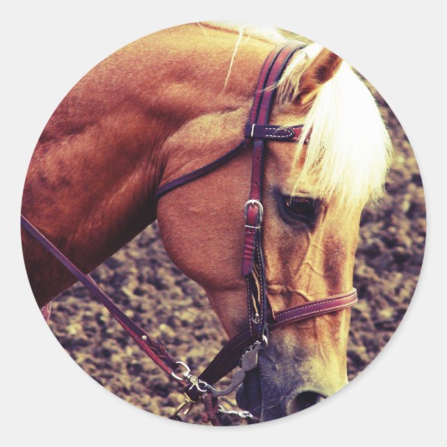 Western Palomino Classic Round Sticker (Front)