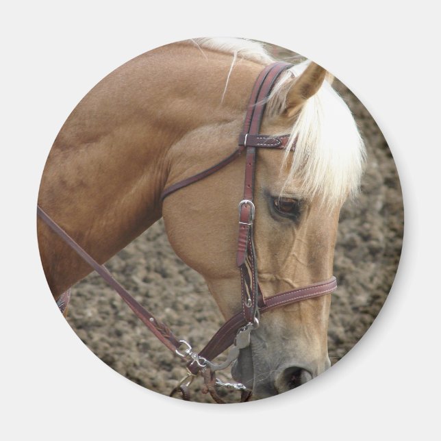 Western  Palomino Magnet (Front)