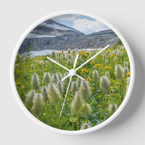 Western Pasqueflower  East Kootenay Mountains Clock