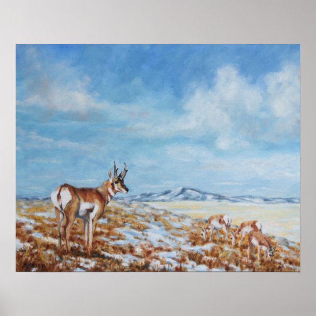 Western Plains Camouflage Fine Art Print (Front)