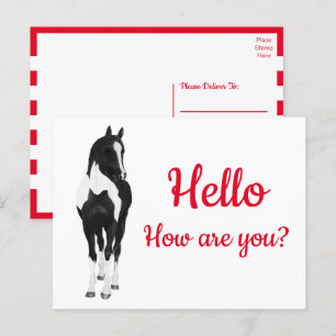 Western Pony Watercolor Black White Horse Hello  P Postcard