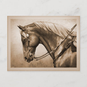 Western Ranch Horse Old Photo Sepia Postcard
