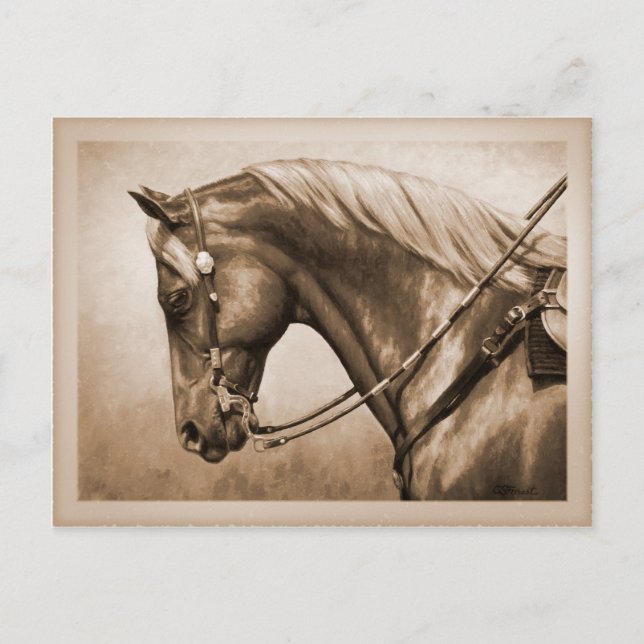 Western Ranch Horse Old Photo Sepia Postcard (Front)