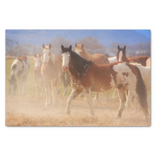 Western Ranch Horses Tissue Paper