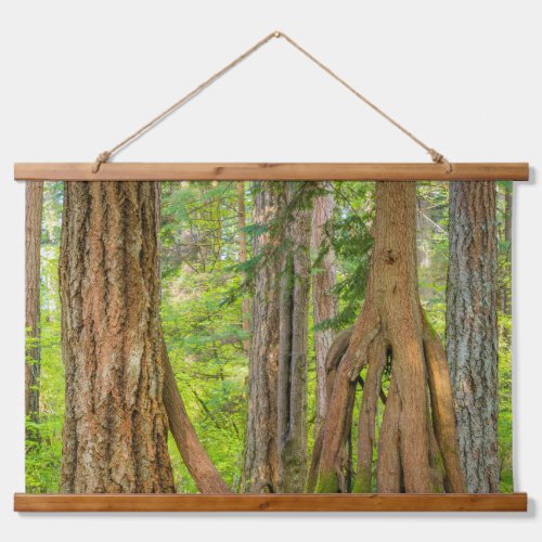 Western Red Cedar Tree  Washington State Hanging Tapestry