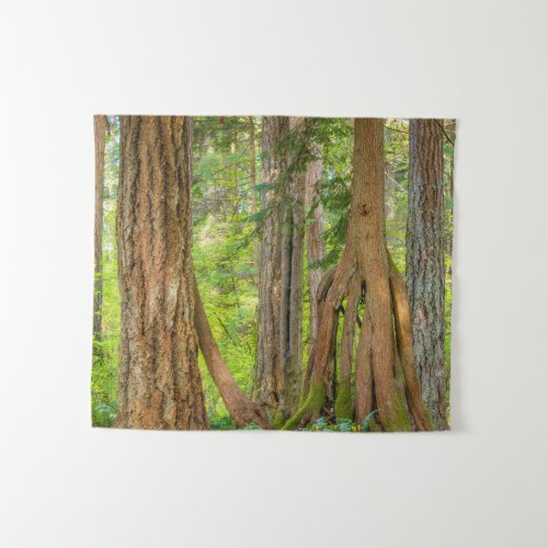 Western Red Cedar Tree  Washington State Tapestry