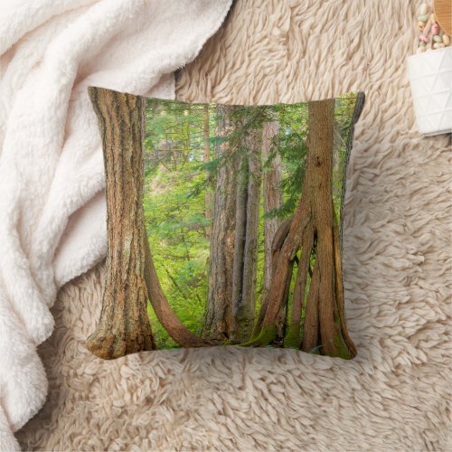Western Red Cedar Tree  Washington State Throw Pillow