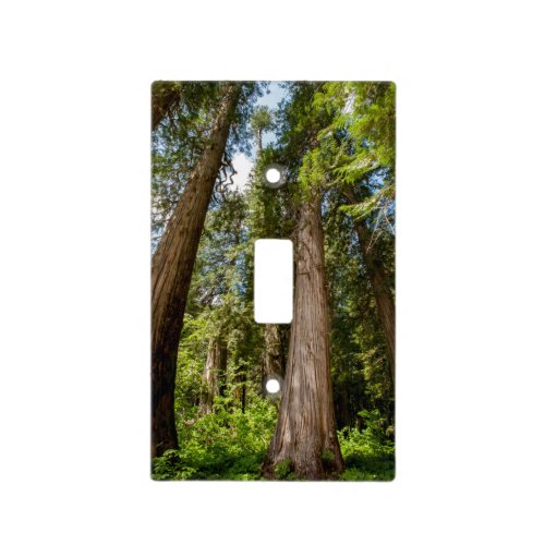 Western Red Cedar Trees Light Switch Cover