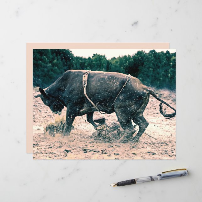 Western Rodeo Black Bull Country Cowboy Rustic (Front/Back In Situ)