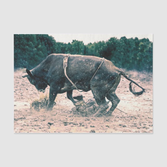 Western Rodeo Black Bull Country Cowboy Rustic Tissue Paper (Front)