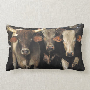 Cow Decorative Throw Pillows Zazzle