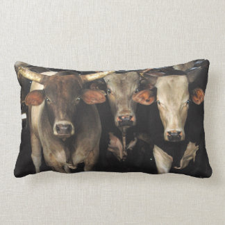 Western Rodeo Bull Cows Cowboy Southwest MoJo Pill Lumbar Pillow