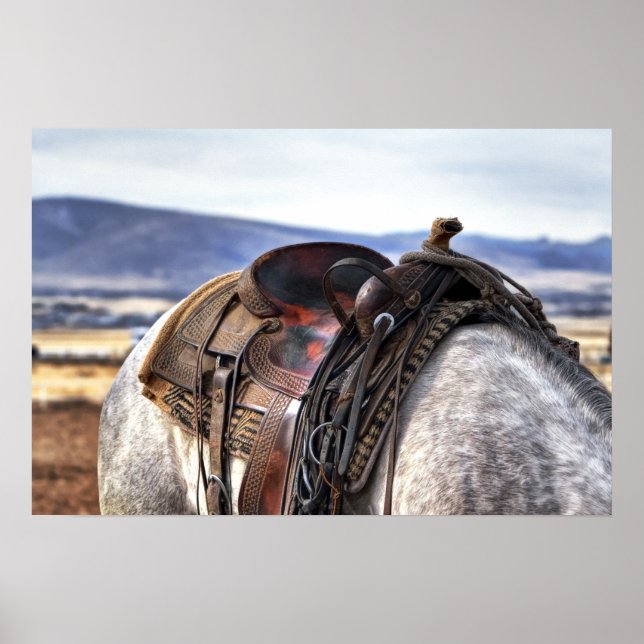 Western Saddle on Gray Horse Poster (Front)