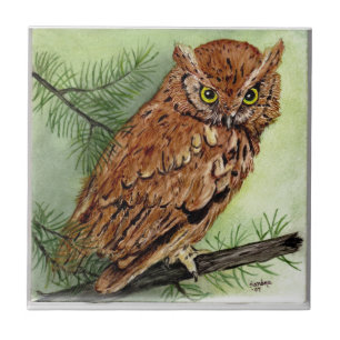 Western Screech Owl Ceramic Tile