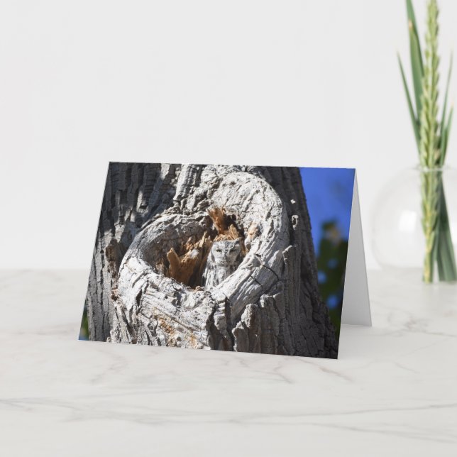 Western Screech Owl in the Heart of the Tree Card (Front)
