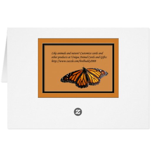 Western_scrub_jay_1613 (Back Horizontal)