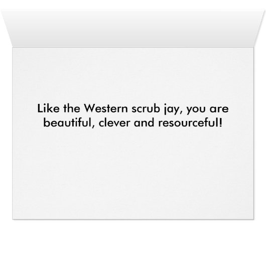 Western_scrub_jay_1613 (Inside Horizontal (Bottom))