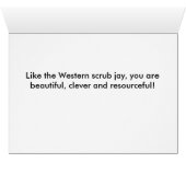 Western_scrub_jay_1613 Cards (Inside Horizontal (Bottom))