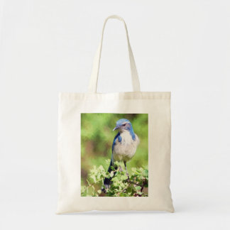 Western Scrub Jay Tote Bag