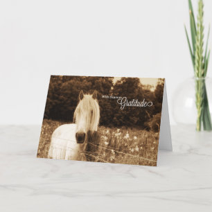 Western Sepia White Horse Blank Letterpress Thank You Card