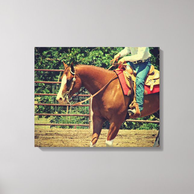 Western Sorrel Canvas Print (Front)