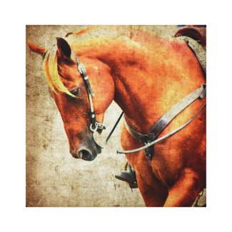 Western Sorrel Horse Canvas Print