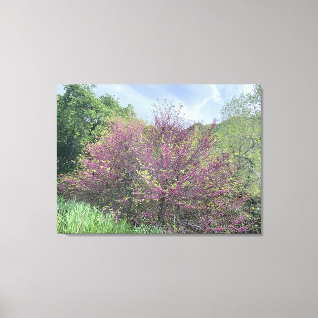 Western Spring Canvas Print (Front)