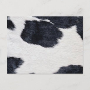 Western Style Cowhide Black/White Print Postcard