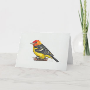 Western Tanager Art Card