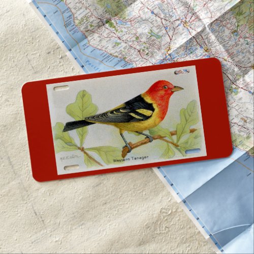 Western Tanager Bird License Plate