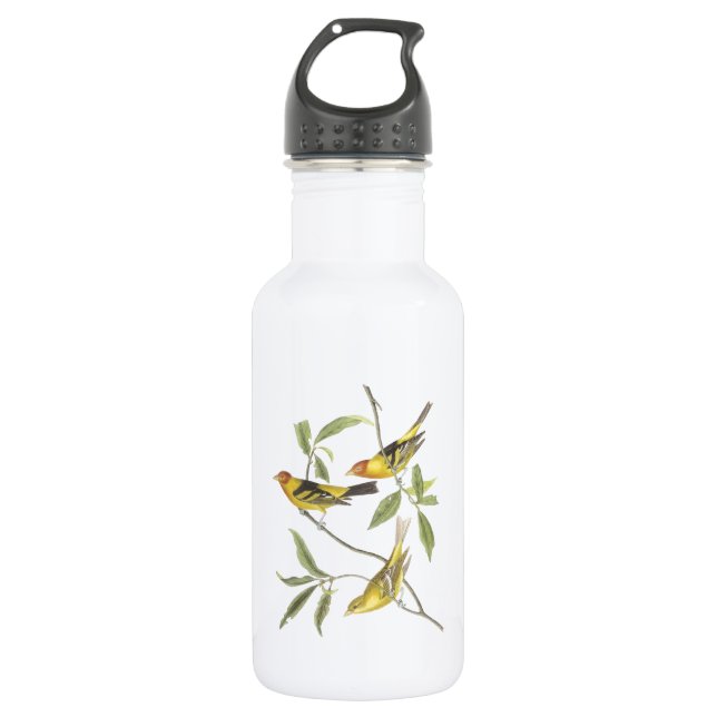 Western Tanager by Audubon Water Bottle (Front)
