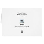Western Tanager Cards (Back Horizontal)