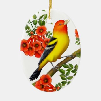 Western Tanager In Trumpet Vine Ornament by ornamentation at Zazzle