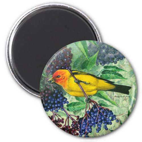Western Tanager Magnet