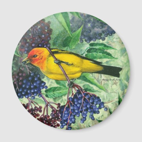 Western Tanager Magnet