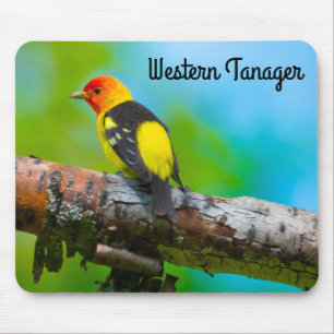 Western Tanager  Mouse Pad