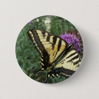 Western Tiger Swallowtail Butterfly Button