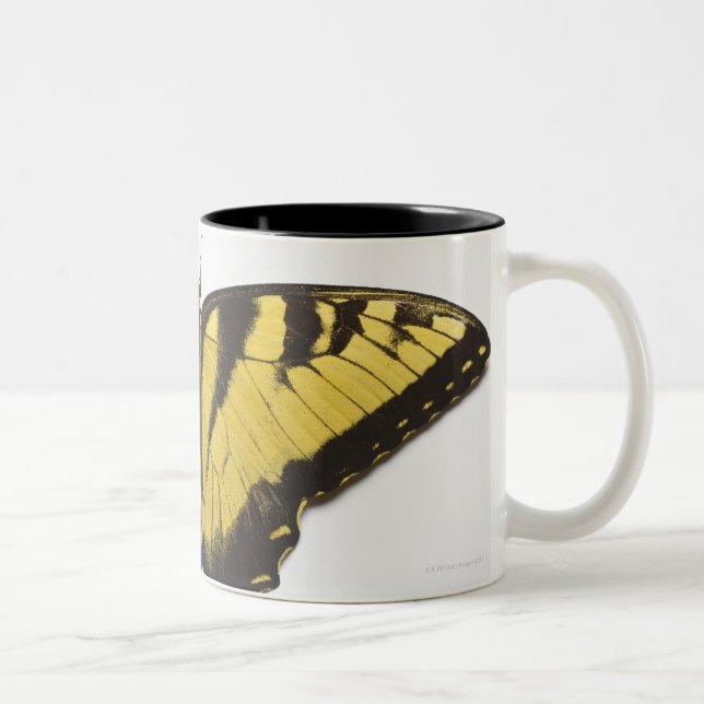 Western Tiger Swallowtail Butterfly Two-Tone Coffee Mug (Right)