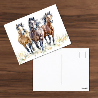 Western Wild & Free Mustang Horses Postcard