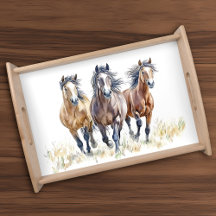 Western Wild & Free Mustang Horses Postcard