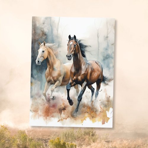 Western Wild Horse Postcard